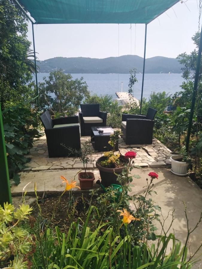 Apartman Iva Kuciste Dış mekan fotoğraf